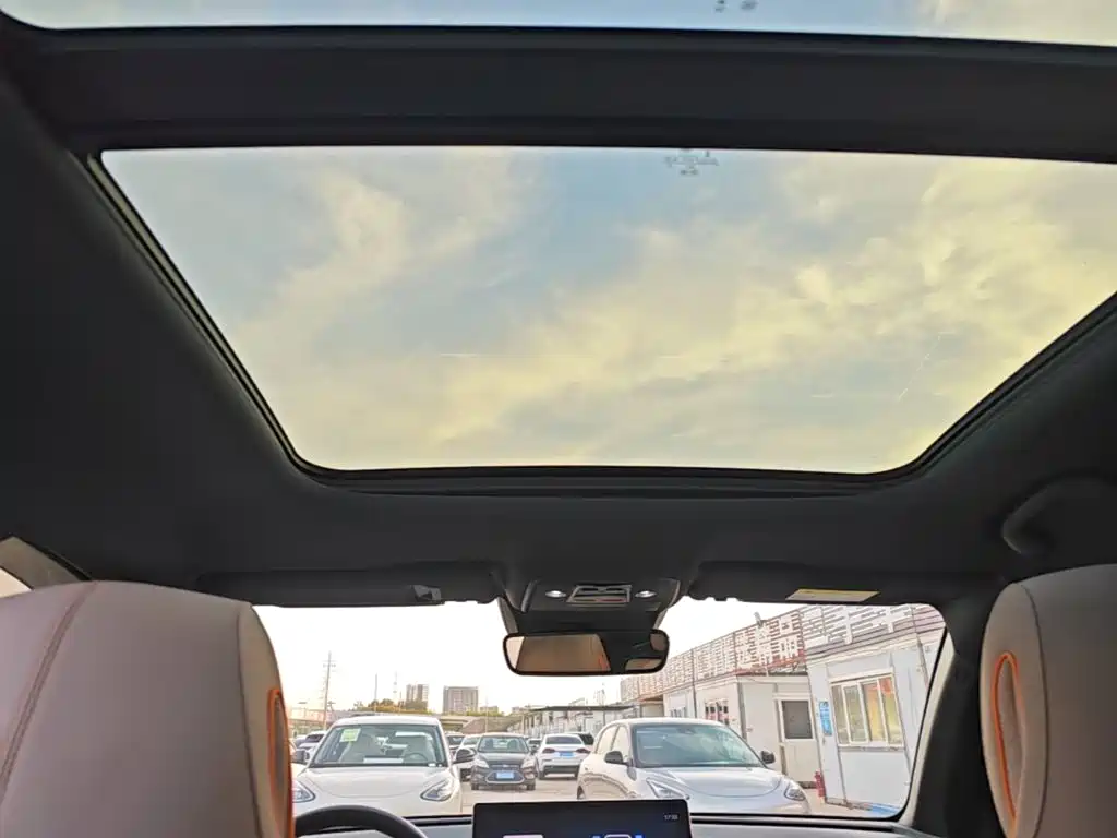 BYD Pro New Energy — миниатюра 18