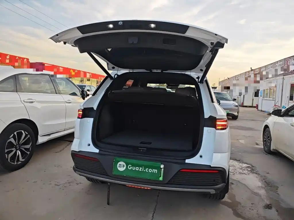 BYD Pro New Energy — миниатюра 19