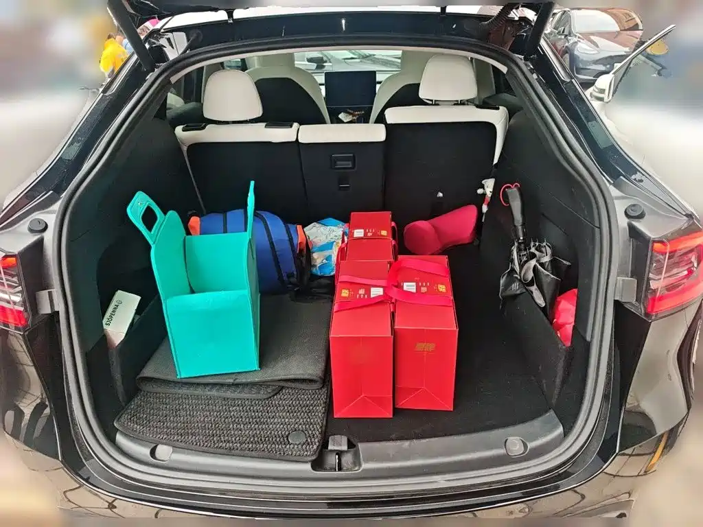 Tesla Model Y — миниатюра 15