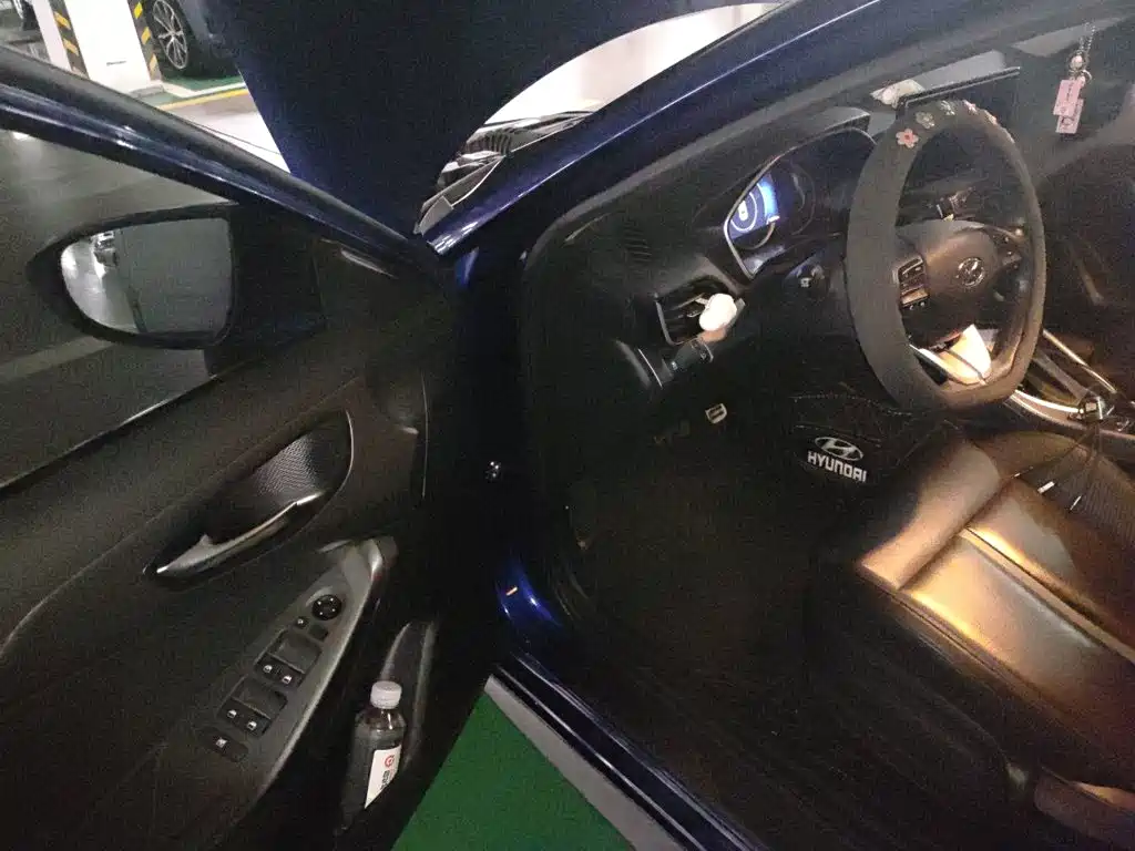 Hyundai Fista — миниатюра 14