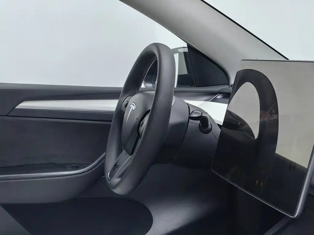 Tesla Model Y — миниатюра 22