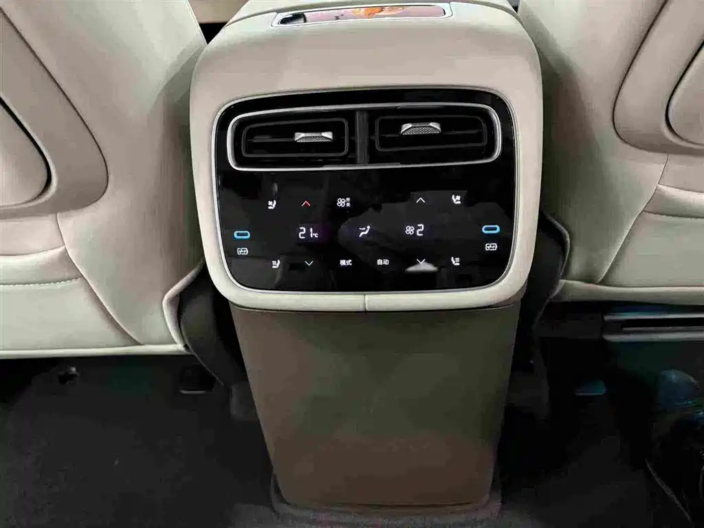 Denza Zoom N8L — миниатюра 28