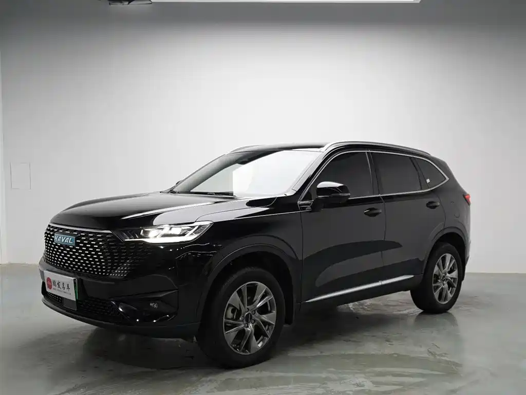 Haval H6 New Energy