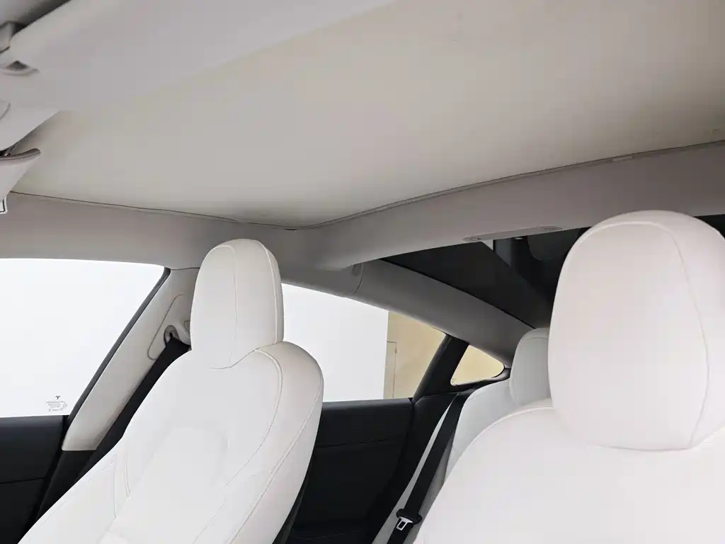 Tesla Model 3 — миниатюра 15