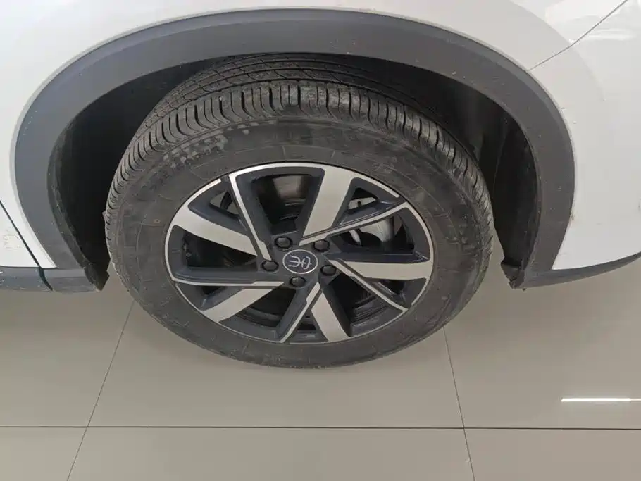 BYD Pro New Energy — миниатюра 6