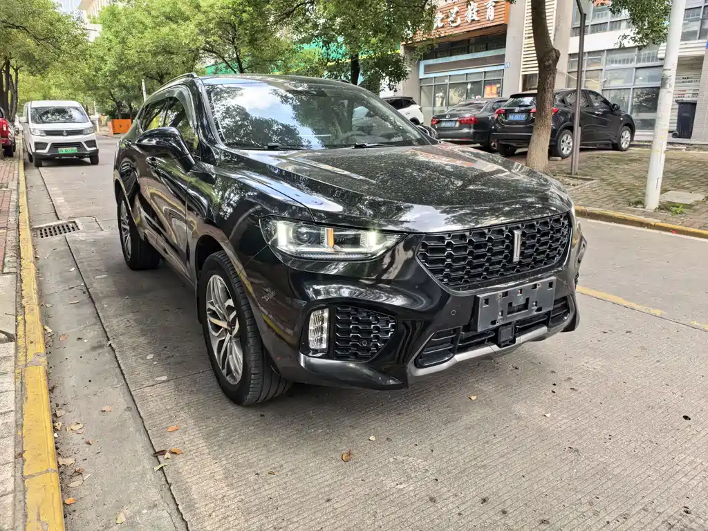 Wey Wey VV5 — миниатюра 3