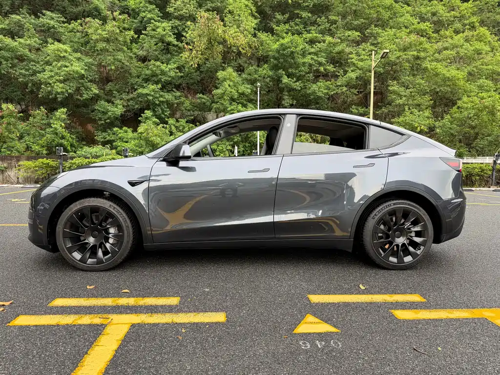 Tesla Model Y — миниатюра 4