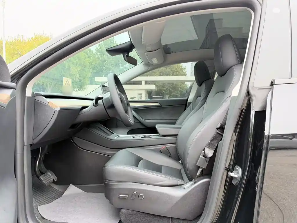 Tesla Model Y — миниатюра 15