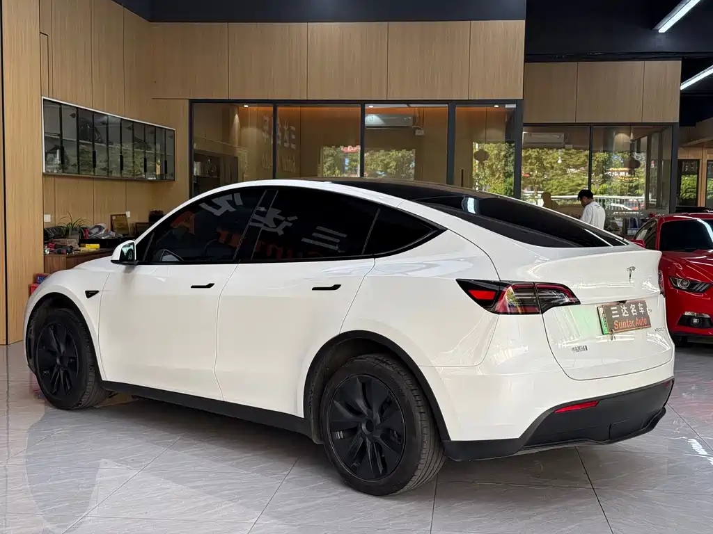 Tesla Model Y — миниатюра 4