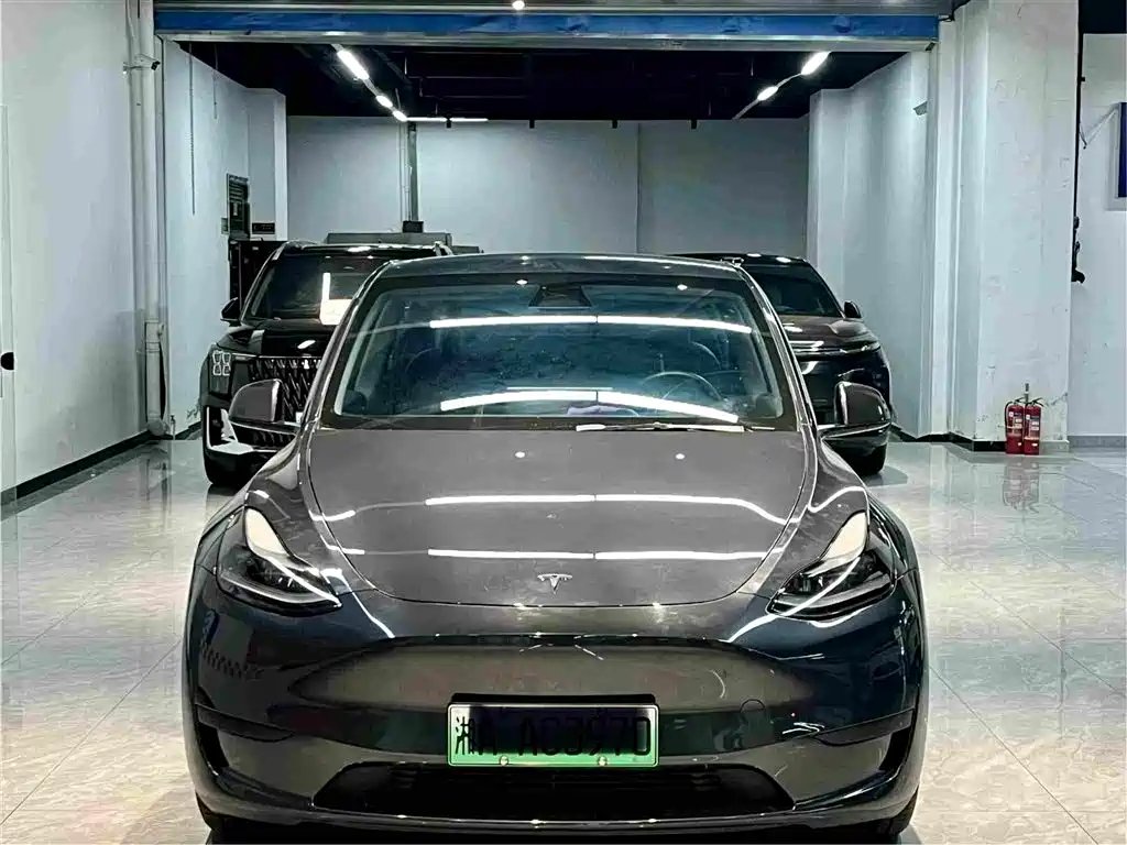 Tesla Model Y — миниатюра 2