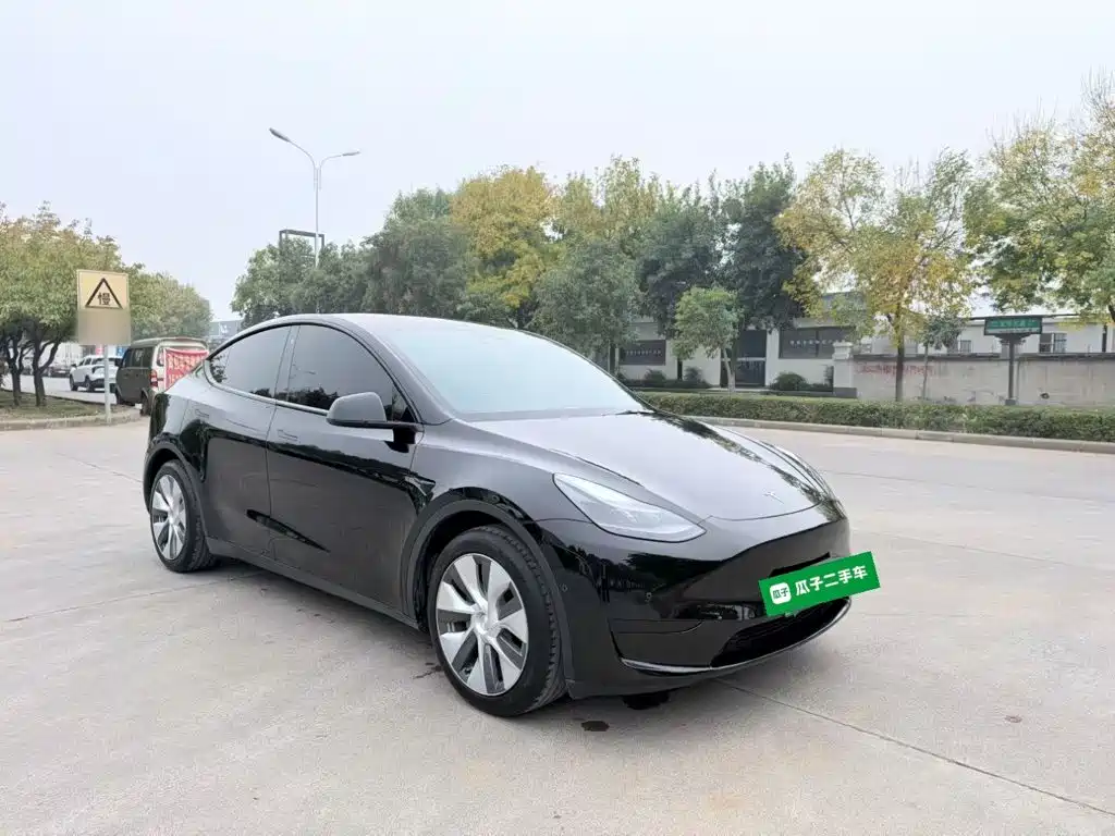Tesla Model Y — миниатюра 4