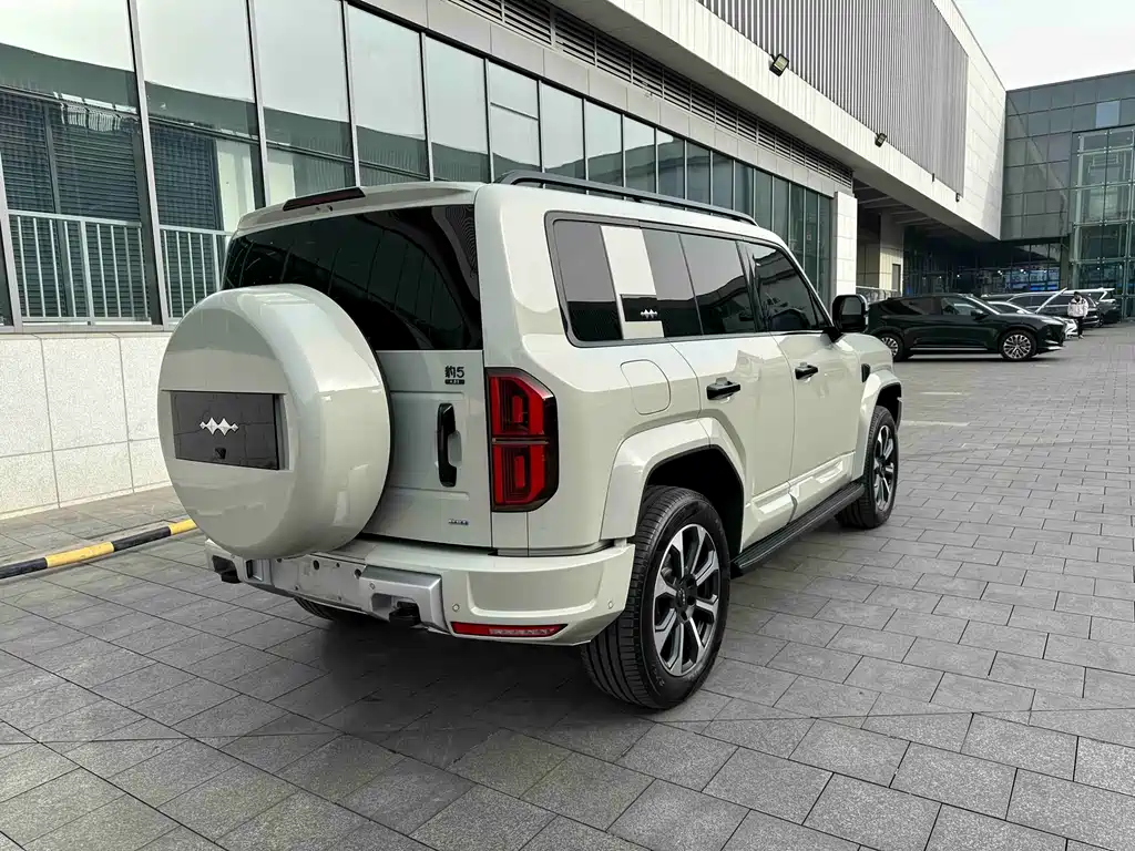 FANG CHENG BAO LEOPARD 5