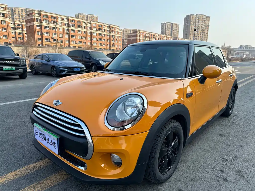 Mini Mini 2016