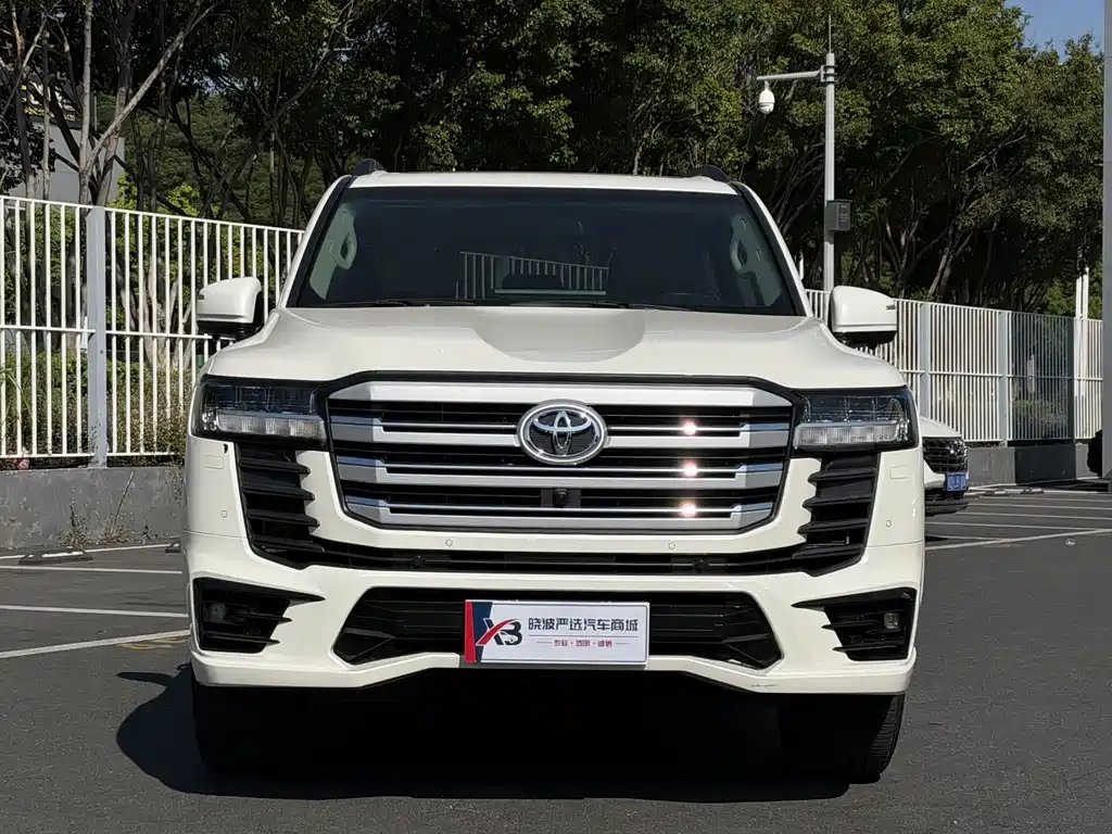 Toyota Land Cruiser — миниатюра 2