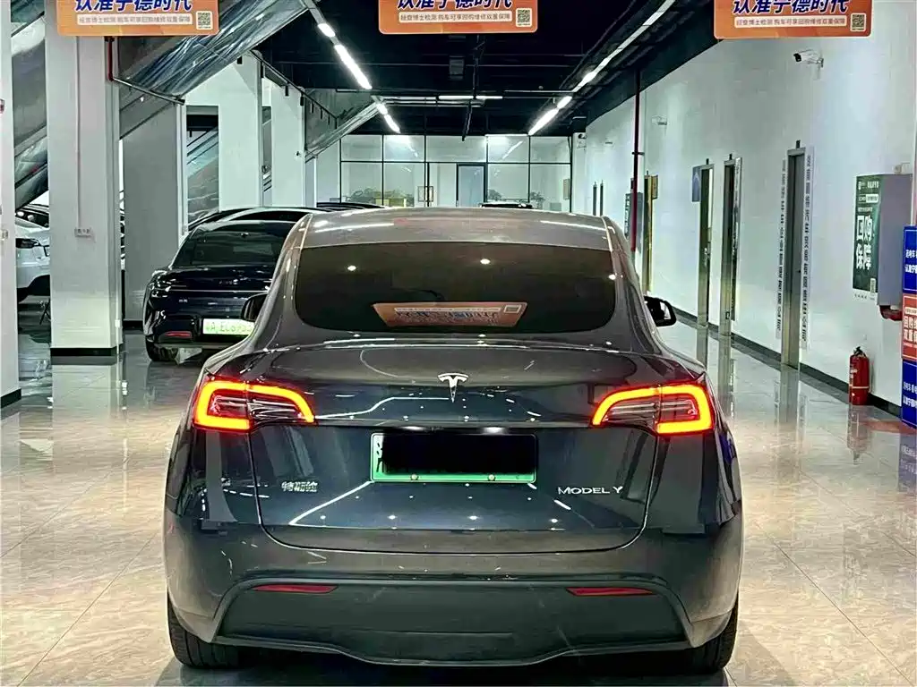 Tesla Model Y — миниатюра 10