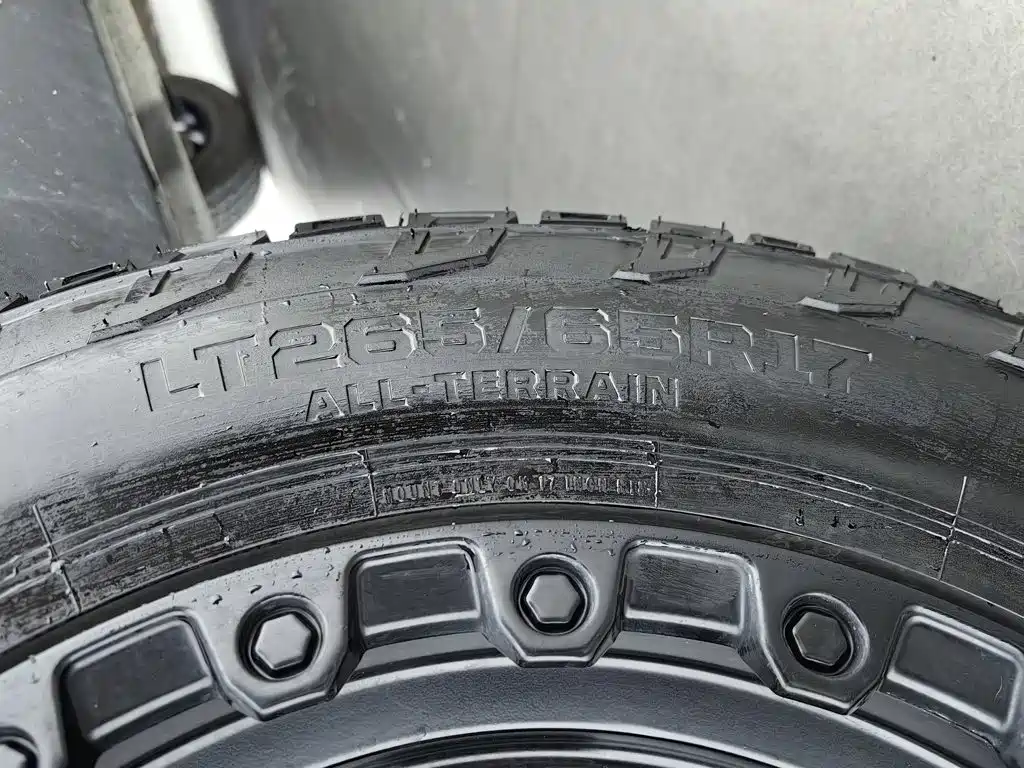 Haval Big Dog — миниатюра 24