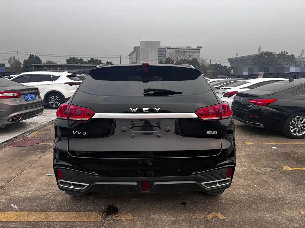 WEI PAI WEI BRAND VV5