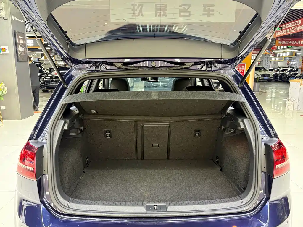 Volkswagen Golf New Energy (Import) — миниатюра 10