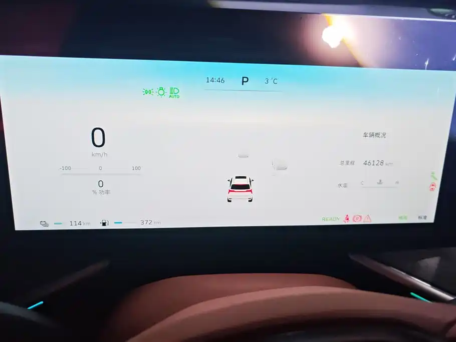 WEI PAI WEI BRAND BLUE MOUNTAIN