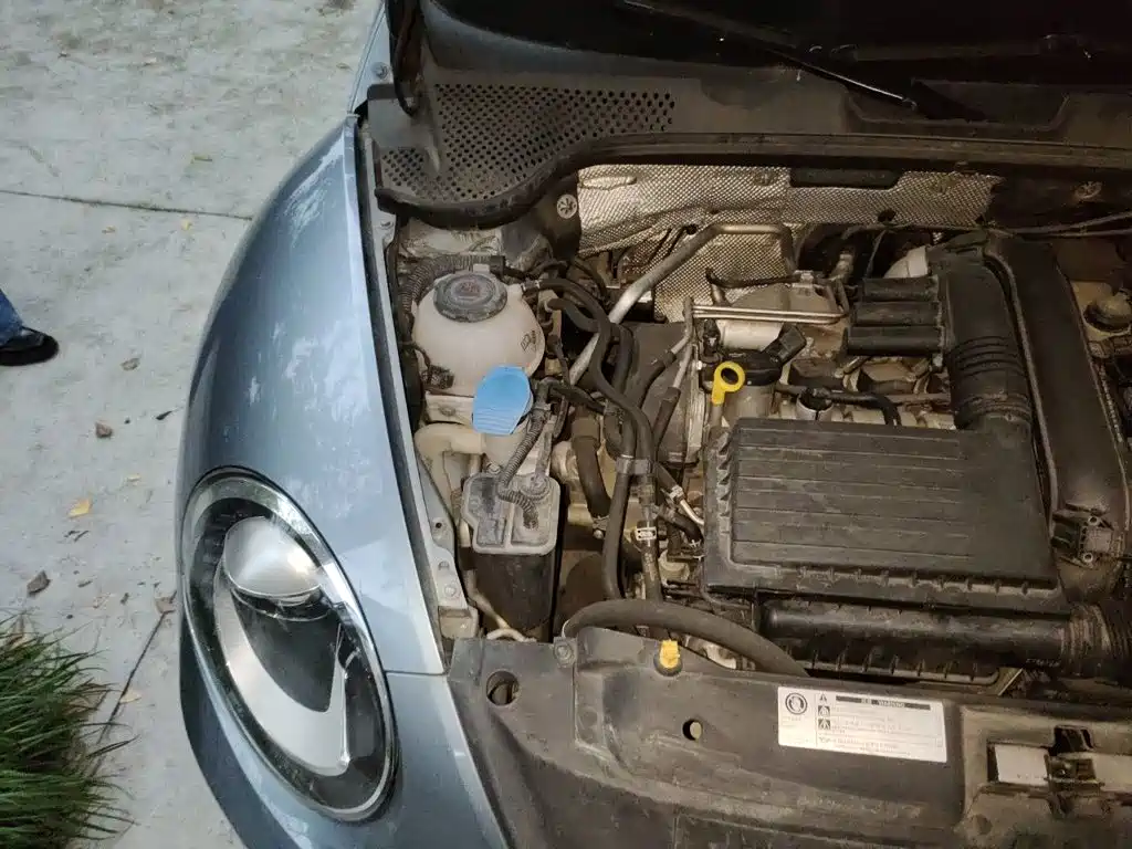 Volkswagen Beetle — миниатюра 20