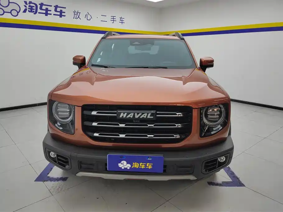 HAVAL BIG DOG