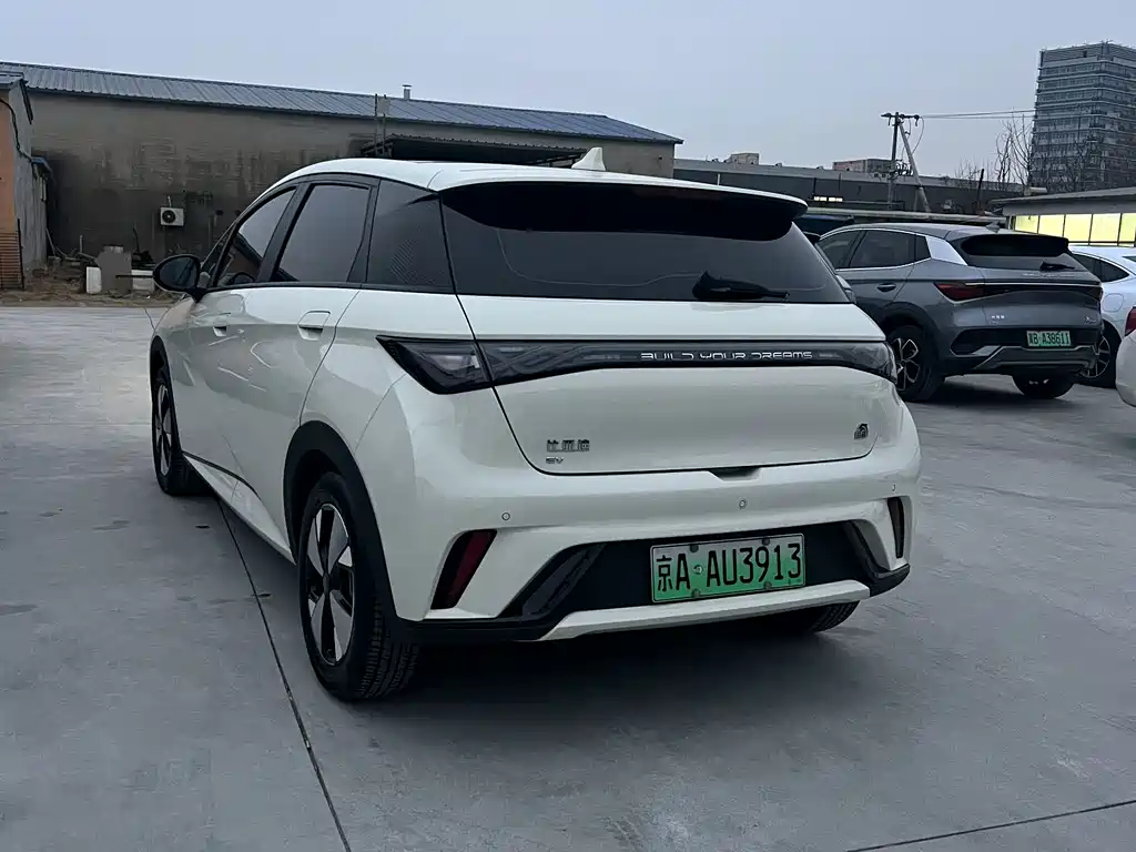 BYD DOLPHIN