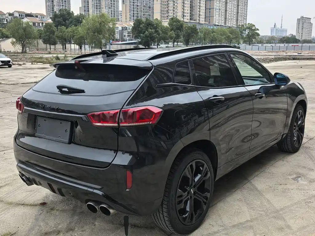 WEI PAI WEI BRAND VV7