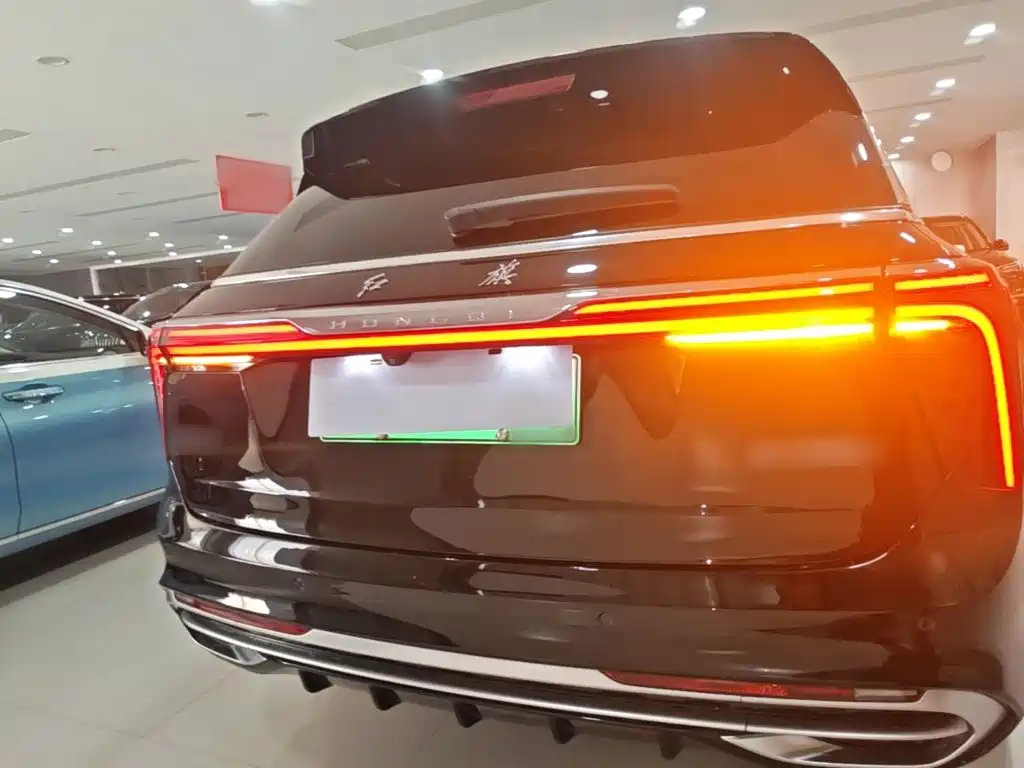 Hongqi Hongqi E-HS9 — миниатюра 6