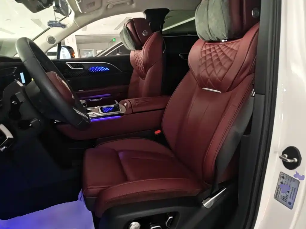Hongqi Hongqi E-HS9 — миниатюра 15
