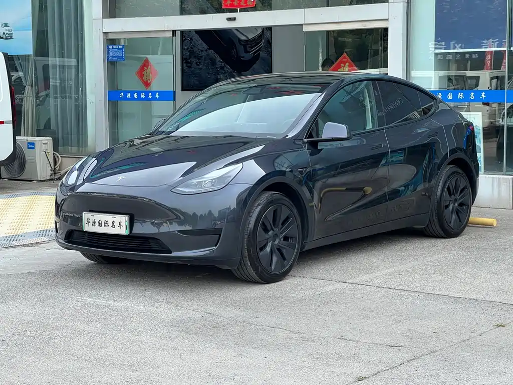Tesla Model Y — миниатюра 3
