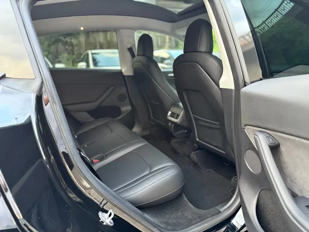 Tesla Model Y — миниатюра 10