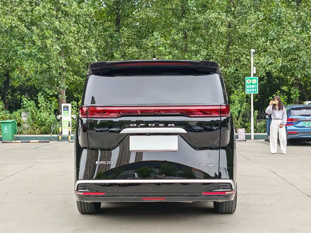 Denza Denza D9 — миниатюра 9
