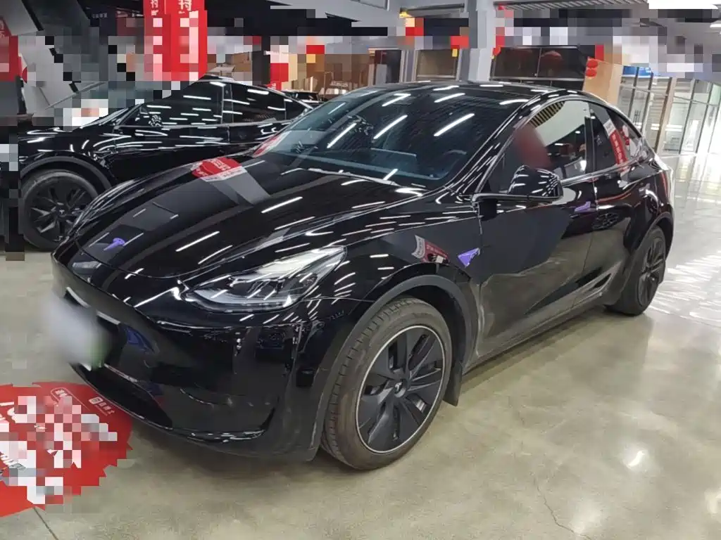 Tesla Model Y — миниатюра 2