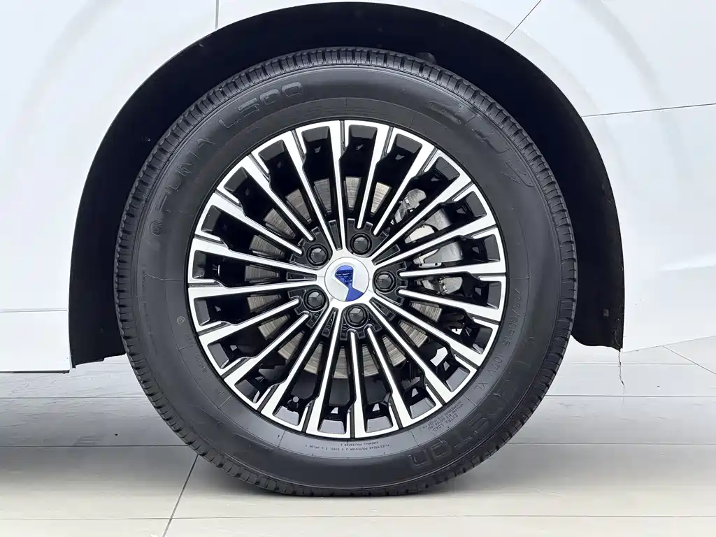 Denza Denza D9 — миниатюра 11