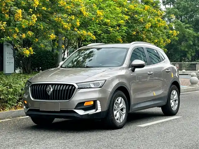 BORGWARD BAOWO BX5 2019