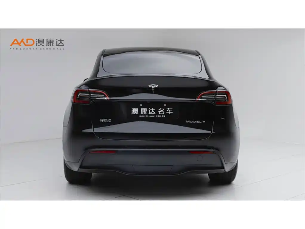 Tesla Model Y — миниатюра 4