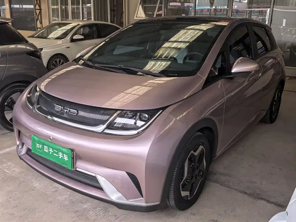 BYD Dolphin — миниатюра 2