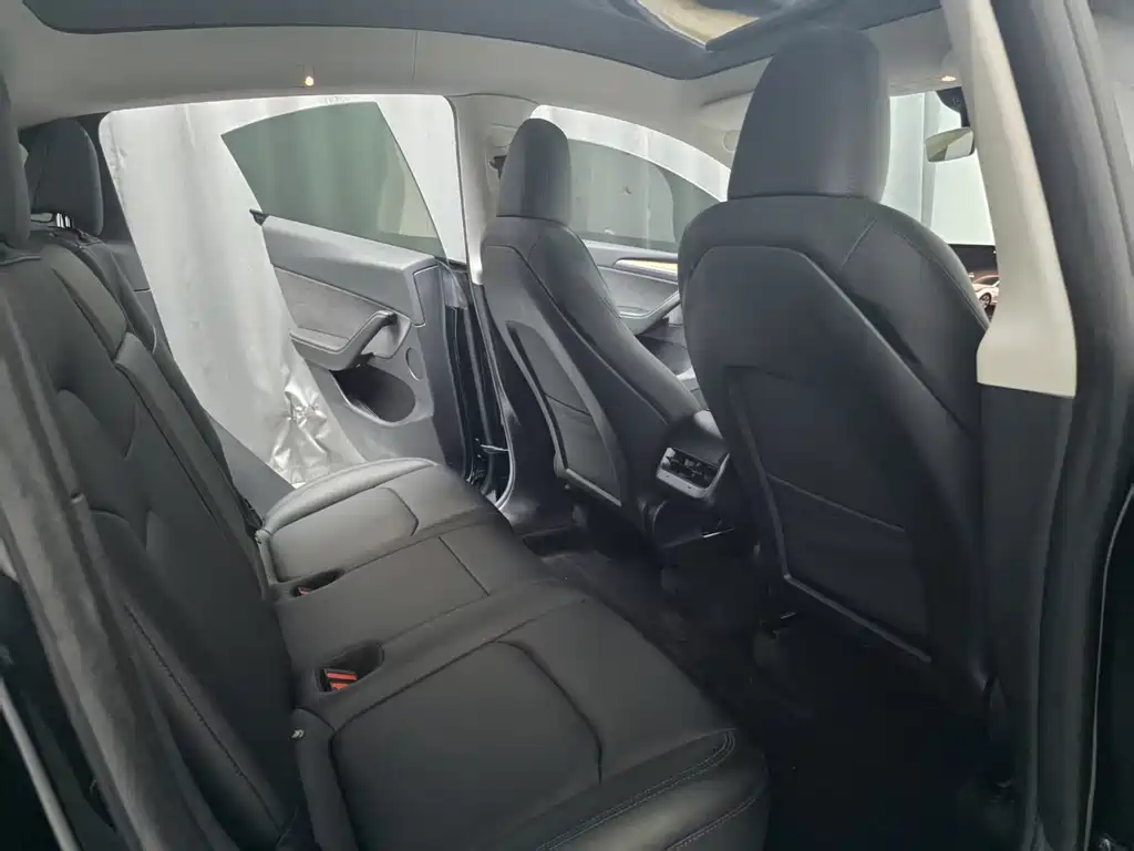 Tesla Model Y — миниатюра 9