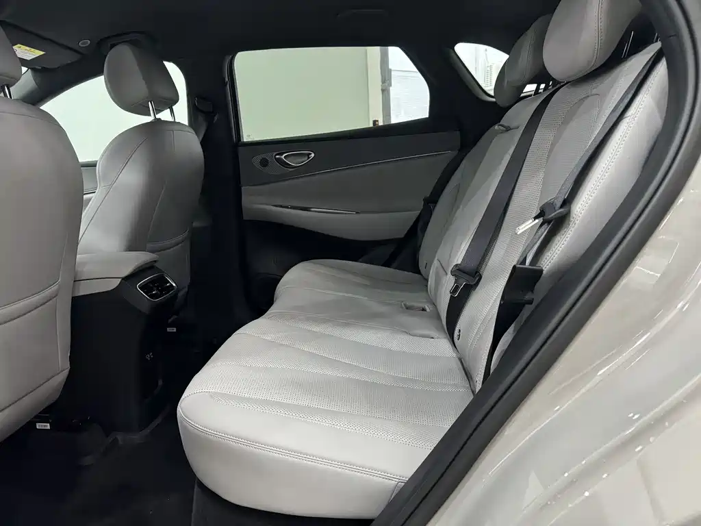 BYD SEA LION 06 NEW ENERGY