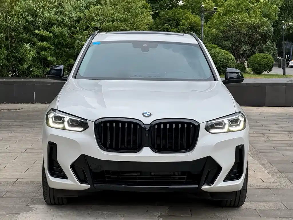 BMW X3 — миниатюра 2