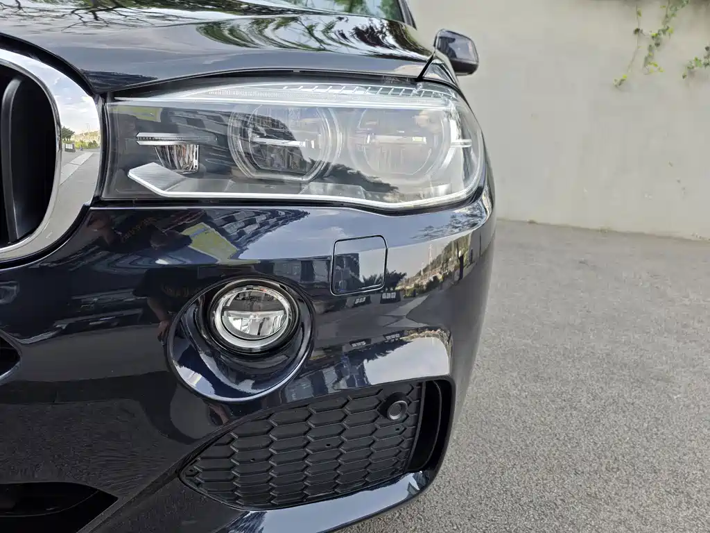 BMW X5 (Import) — миниатюра 19