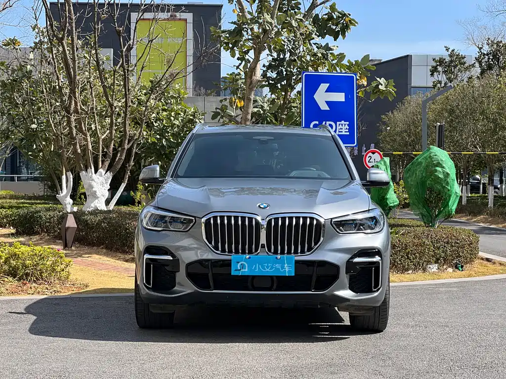 BMW X5 xDrive 30Li Premium Type M Sport Package, фото 16