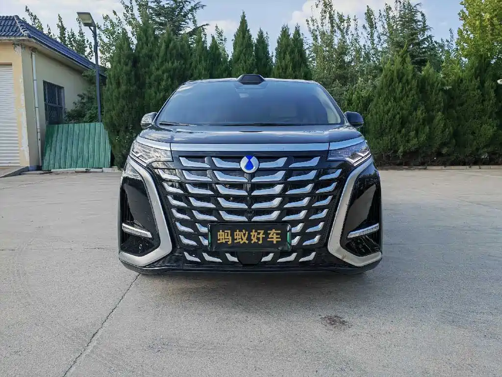 DENZA  D9