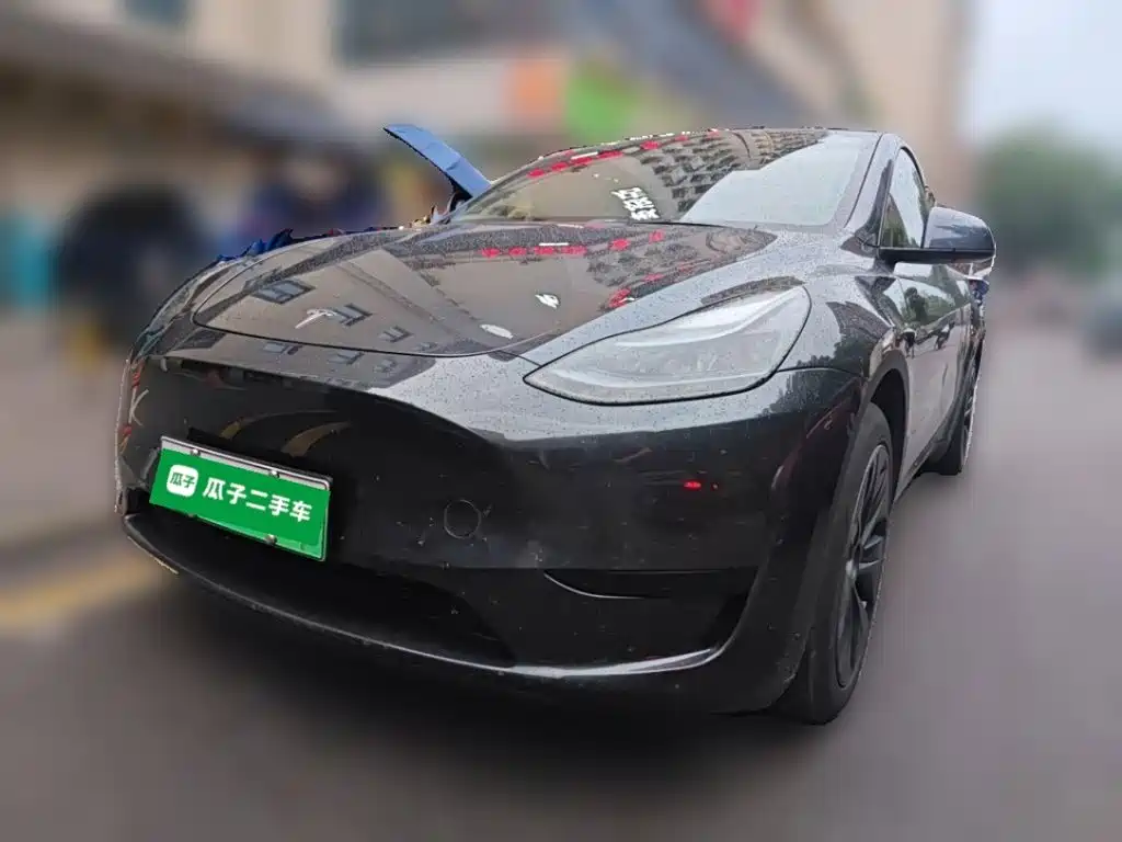 Tesla Model Y — миниатюра 2