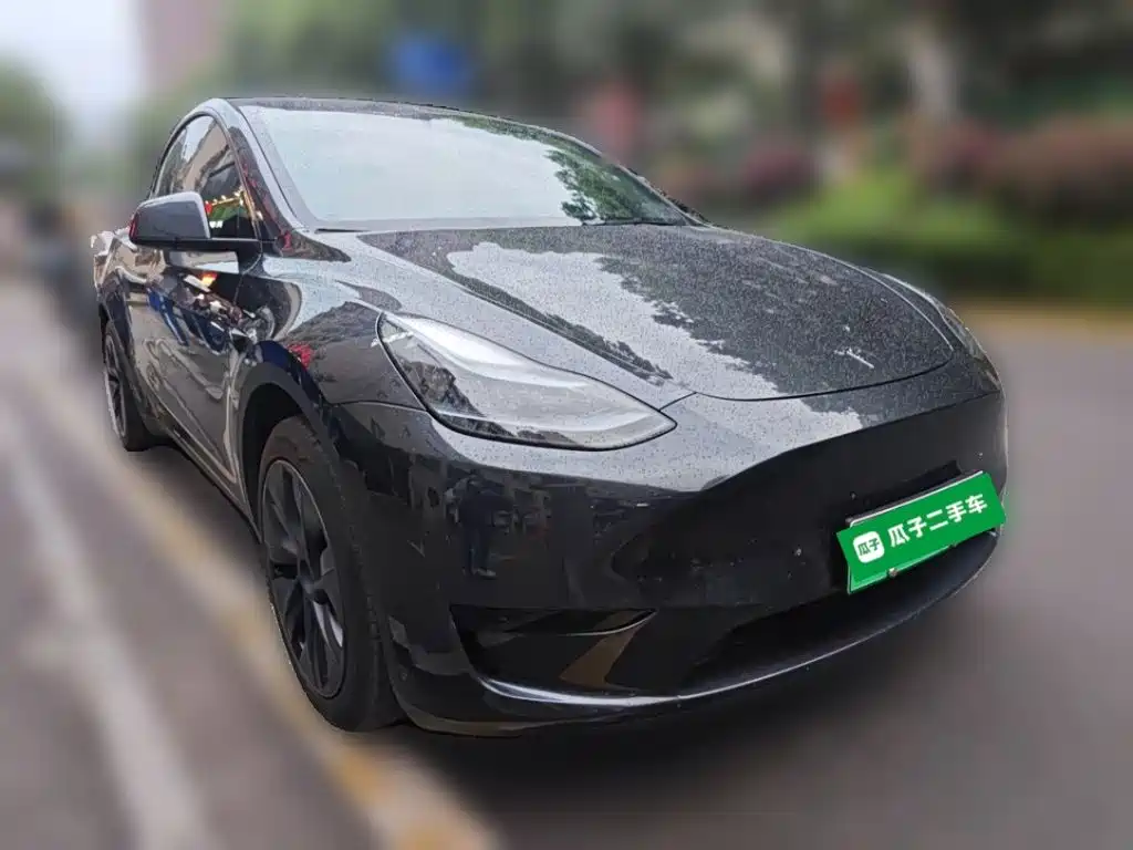 Tesla Model Y — миниатюра 24