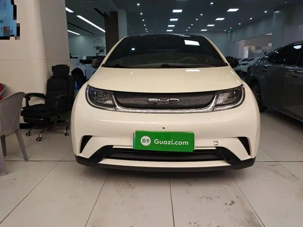 BYD Dolphin — миниатюра 3