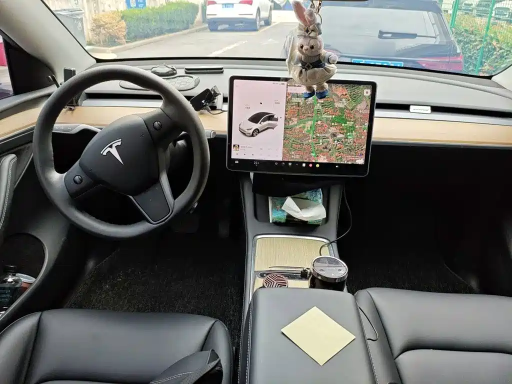 Tesla Model Y — миниатюра 6