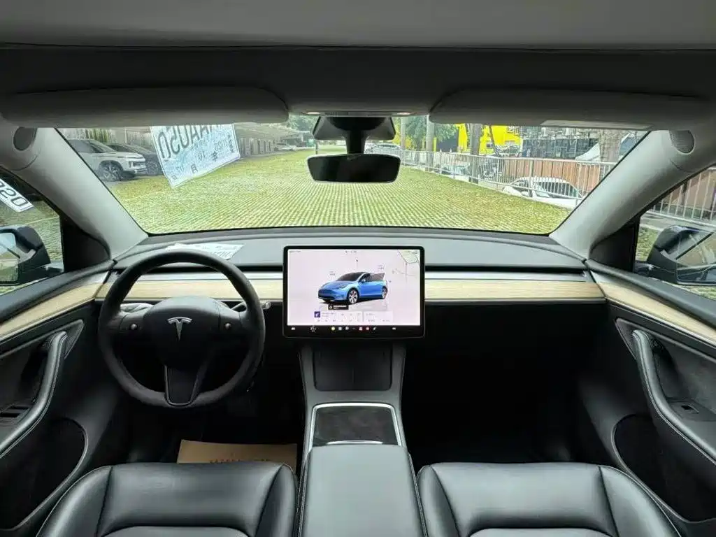 Tesla Model Y — миниатюра 5