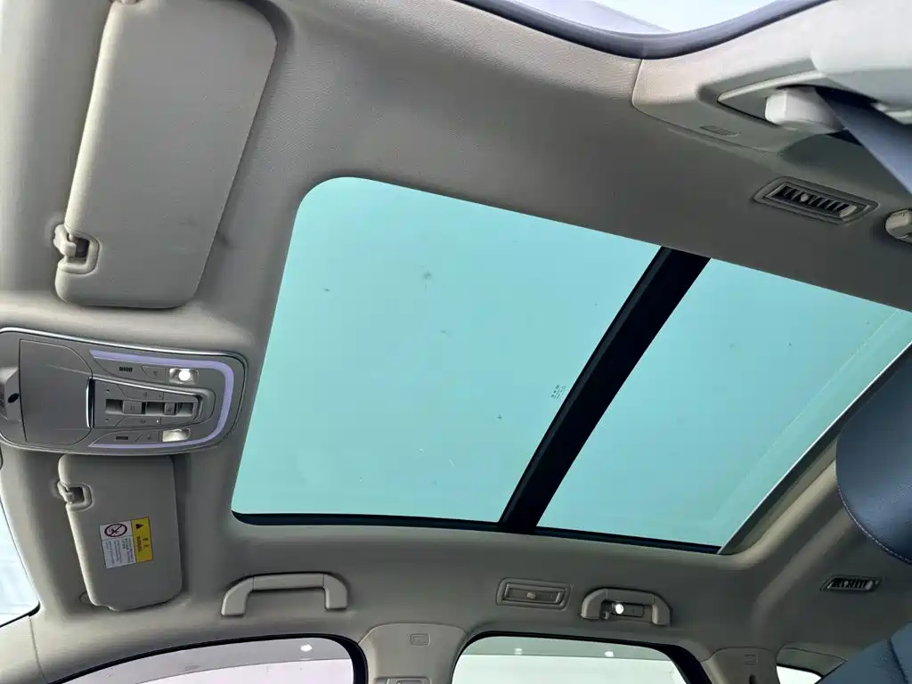 BYD Tang New Energy — миниатюра 23