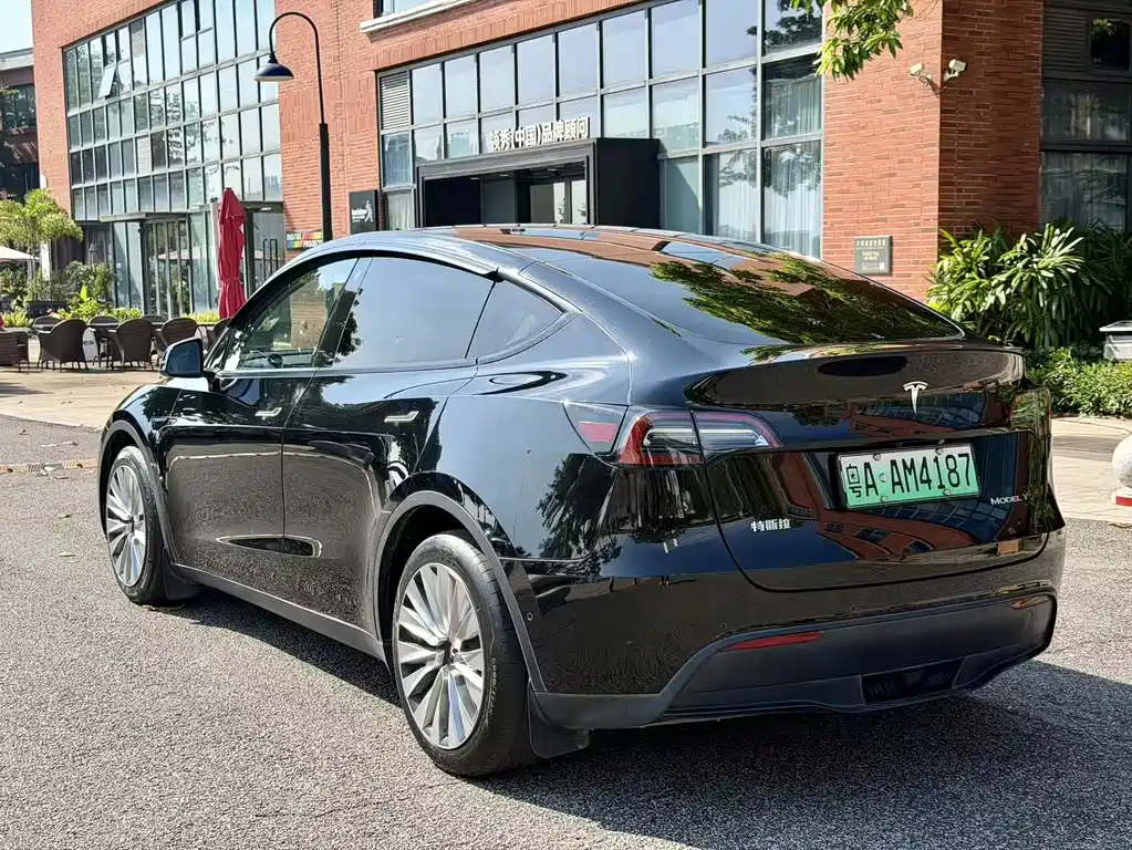 Tesla Model Y — миниатюра 3
